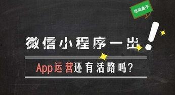 最新爆料营小程序叫什么,最新爆款小程序——“营小程序”的神秘面纱