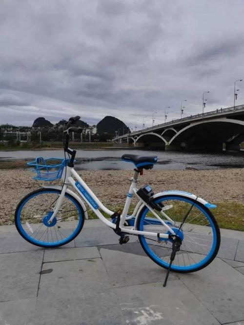 桂林单车爆料最新消息新闻,悲剧发生，原因调查中