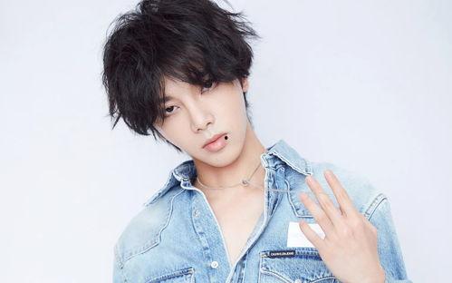 成毅杨紫知乎爆料最新,幕后故事与情感纠葛大公开