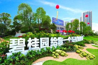 襄阳碧桂园爆料案件最新,揭秘豪宅纠纷背后的真相