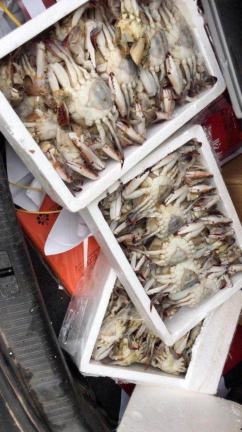 郑先生最新爆料,揭秘娱乐圈惊人内幕